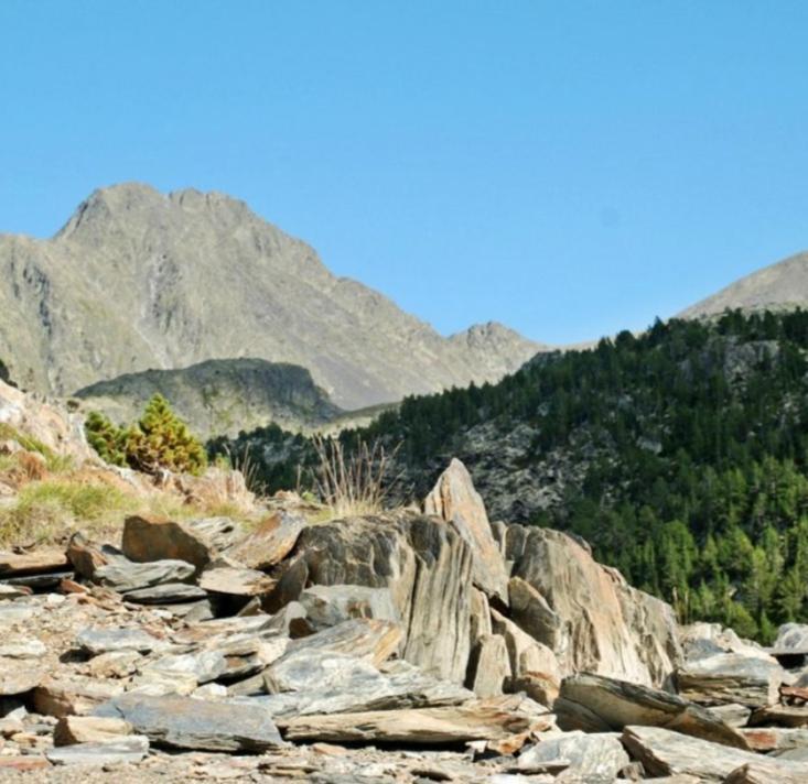 Logement Cosy Au Pied Des Pistes แซงต์-ปิแอร์-เดลส์-ฟอร์กาต์ ภายนอก รูปภาพ